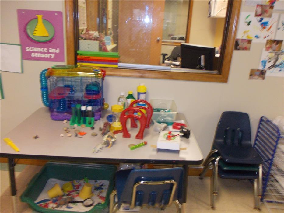 Franconia Road KinderCare Alexandria, VA CareLuLu